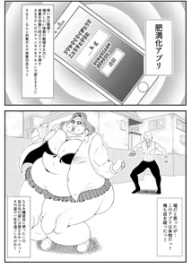 Page 3 of Himanka Appli - preview thumbnail