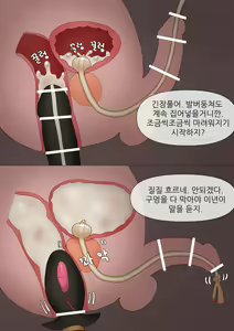 Page 6 of Excretion Assistant 1-6 - preview thumbnail