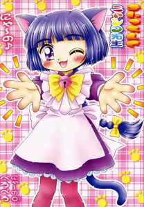 Maicching Nyanko Sensei - hentai manga cover image