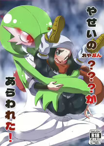 Yasei no Oyabun Sirnight ga Arawareta! — hentai manga cover on Fhentai
