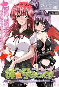 Ane Haramix 4 - hentai manga cover image