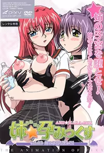 Ane Haramix 3 - hentai manga cover image