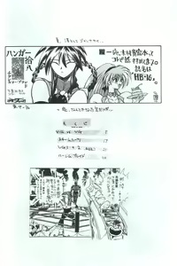Page 3 of HB16 - preview thumbnail