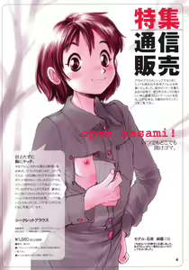 Page 3 of Pocket DLL 2003 - preview thumbnail