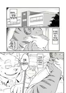 Page 3 of Kocchi Muite yo Torakado-kun | 여기 보세요 토라이로 군 - preview thumbnail
