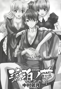 Page 3 of Kohaku No Hana - preview thumbnail