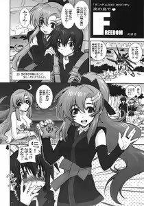 Page 3 of F - preview thumbnail