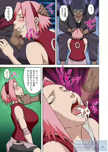 Page 8 of SakuHina Inninden Full Color Remake-ban - preview thumbnail