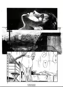 Page 3 of PICTURES - preview thumbnail