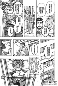 Page 8 of Choujuu Gasshin Build Tiger 11 - preview thumbnail