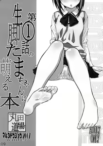 Page 2 of Daiichiwa no namaashi Tama-chan ni moeru hon - preview thumbnail