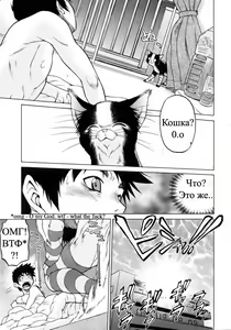 Page 8 of Nyan surprise/Чудесная кошечка - preview thumbnail