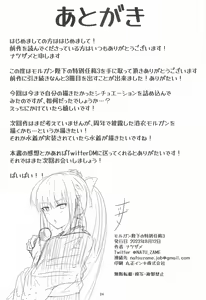 Page 25 of Morgan Heika no Tokubetsu Ninmu 3 - preview thumbnail