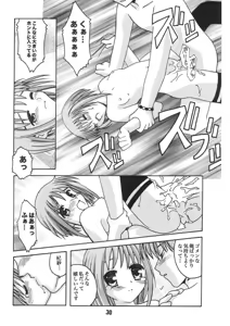Page 29 of FRUKET. - preview thumbnail