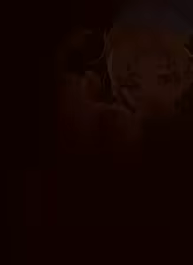 Page 56 of Chung - preview thumbnail