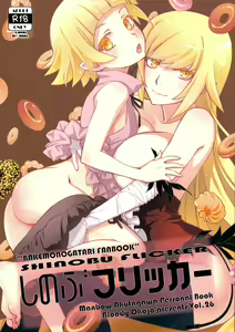 Page 810 of Monagatari Series Collection - preview thumbnail