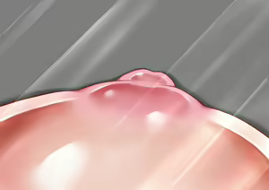Page 597 of Joshikousei Nyuujoku Shintai Kensa! - preview thumbnail