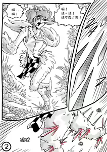 Page 3 of Touhou Unknown 东方不为人知第二章（云末汉化组） - preview thumbnail