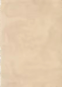 Page 3 of Sekai Ki no Kagayaki - preview thumbnail