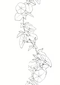 Page 176 of Ane Naru Mono 1-11 - preview thumbnail