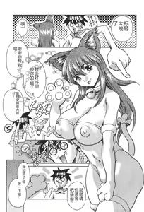 Page 72 of Mahou no Moerist Lyrical Ririnka - preview thumbnail