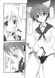Page 8 of P.H.N - preview thumbnail