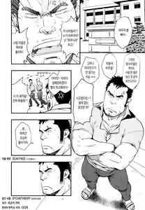 Page 3 of SCAR FACE - preview thumbnail
