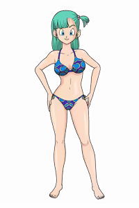 Page 1070 of Dragon Ball - Bulma Briefs - preview thumbnail