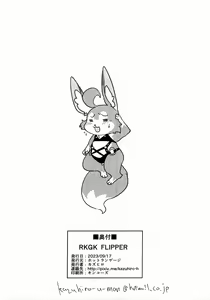 Page 10 of RKGK FLIPPER - preview thumbnail