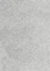 Page 3 of Little by Little - preview thumbnail