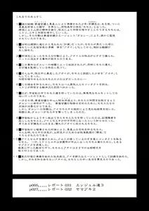 Page 3 of Dulce Report 12 - preview thumbnail