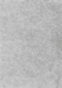 Page 3 of Little by Little - preview thumbnail