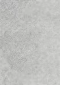 Page 4 of Little by Little - preview thumbnail