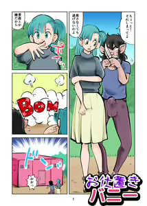 Oshioki Bunny — hentai manga cover on Fhentai