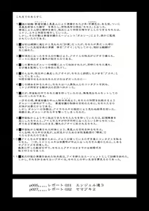 Page 3 of Dulce Report 12 - preview thumbnail