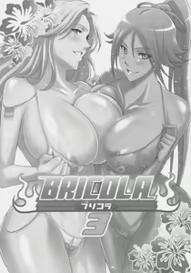Page 3 of Bricola 3 - preview thumbnail