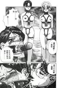 Page 70 of Nikuyoku Shidou - Lust - Instruction - preview thumbnail