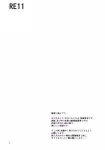 Page 3 of RE 11 - preview thumbnail