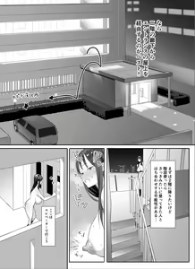 Page 2 of Kagi Catch Challenge 2 - preview thumbnail