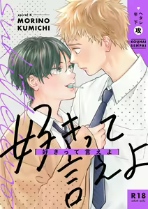 Suki tte Ie yo - hentai manga cover image
