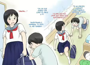 Page 9 of Sei ni Kyoumi o Mochihajimeta Ane to Otouto no Hatsutaiken - preview thumbnail