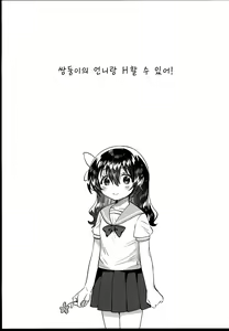 Page 4 of Futago no Ane to Ecchi Dekiru! | 쌍둥이의 언니와 H할 수 있어! - preview thumbnail