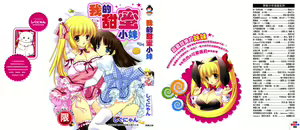 Sweet Sister （ch） — hentai manga cover on Fhentai