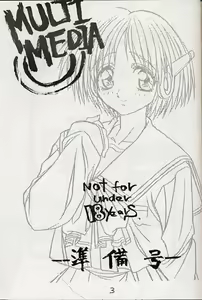 Page 3 of MULTIMEDIA - preview thumbnail