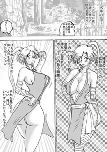 Page 3 of Injuku Ninpouchou - Okasu no Maki In no Maki - preview thumbnail