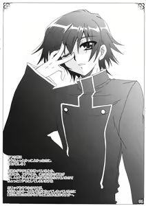 Page 4 of PLUMATION SC36 - preview thumbnail