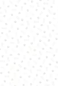 Page 3 of Kawaii Inu no Shitsukekata - preview thumbnail