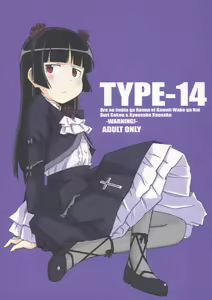 TYPE-14 — hentai manga cover on Fhentai
