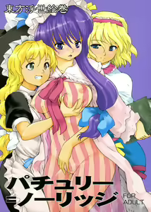 Touhou Ukiyo Emaki Patchouli Knowledge — hentai manga cover on Fhentai