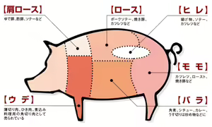 Page 1316 of Artist - Nori | Noriburu | 岐神のりお - preview thumbnail